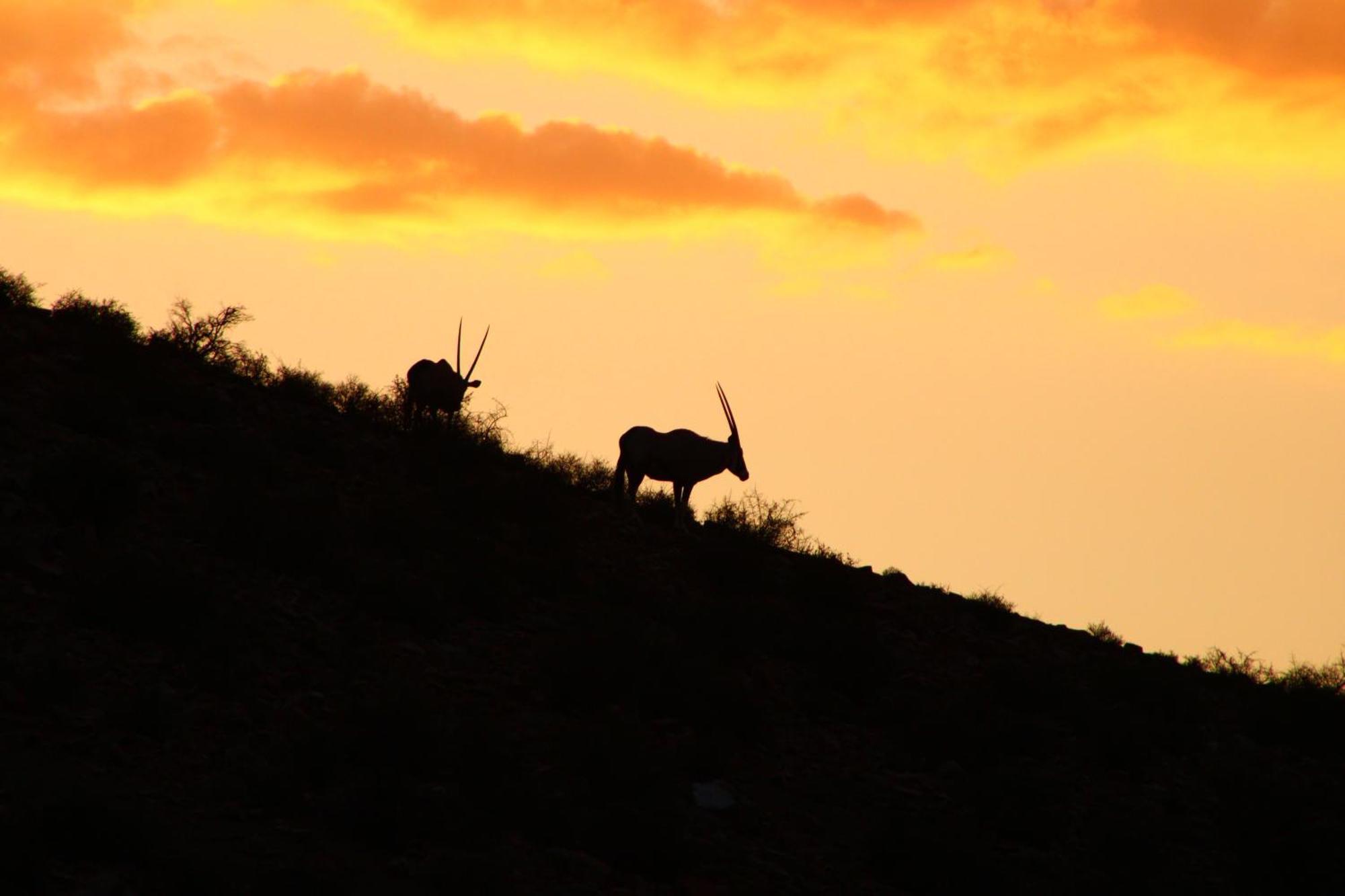 Bosch Luys Kloof Nature Reserve Ladismith Kültér fotó