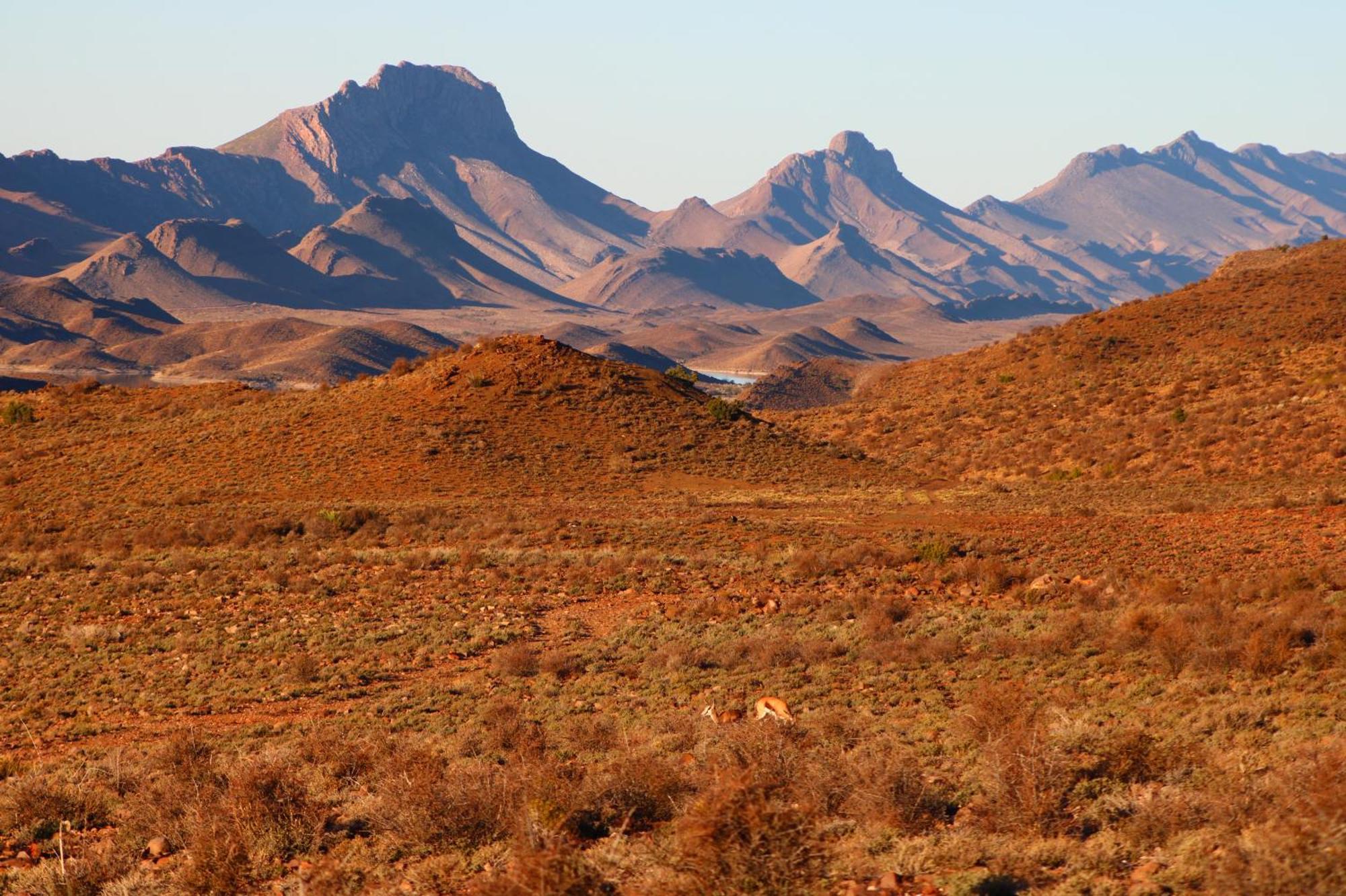Bosch Luys Kloof Nature Reserve Ladismith Kültér fotó