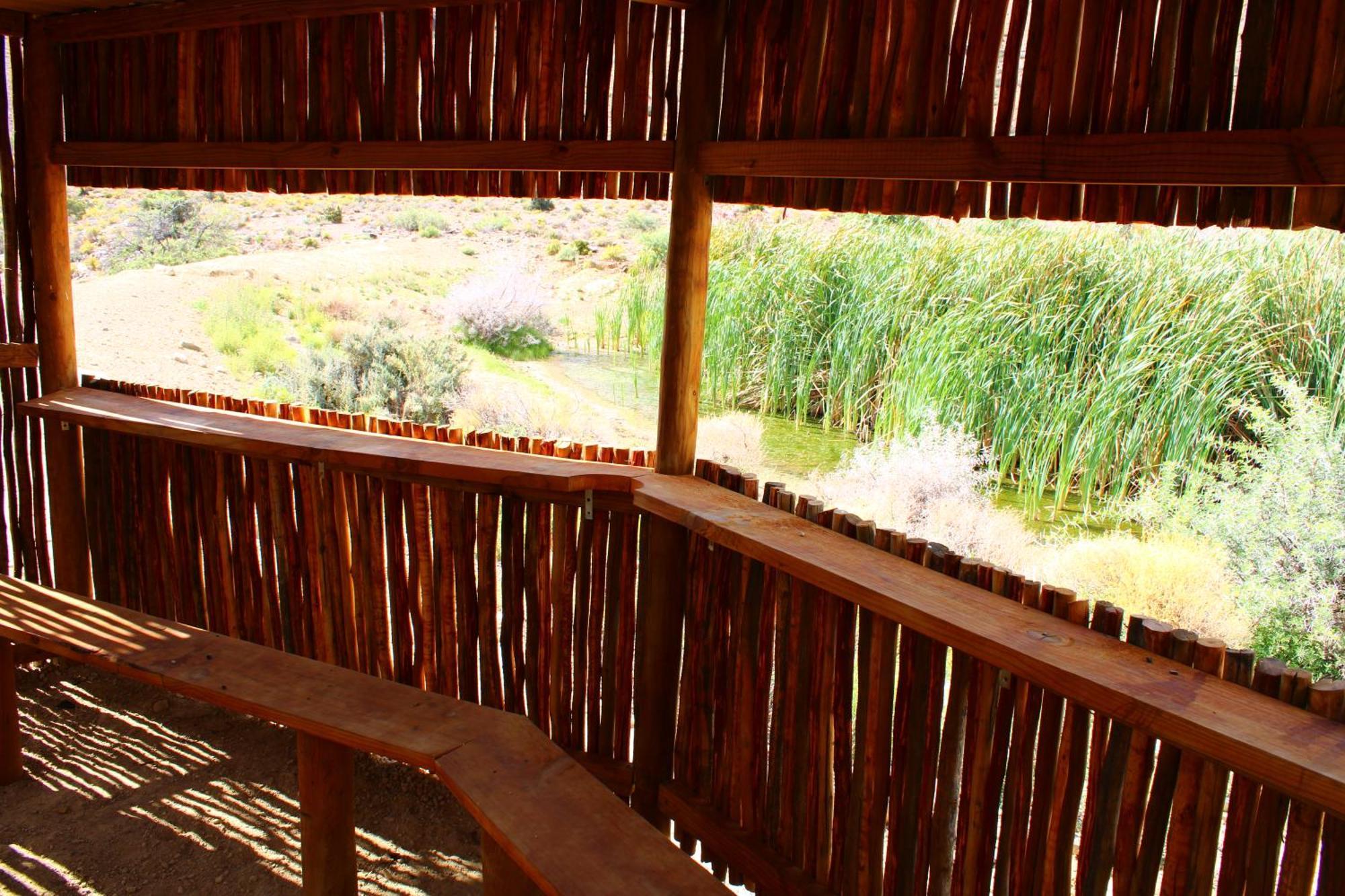 Bosch Luys Kloof Nature Reserve Ladismith Kültér fotó